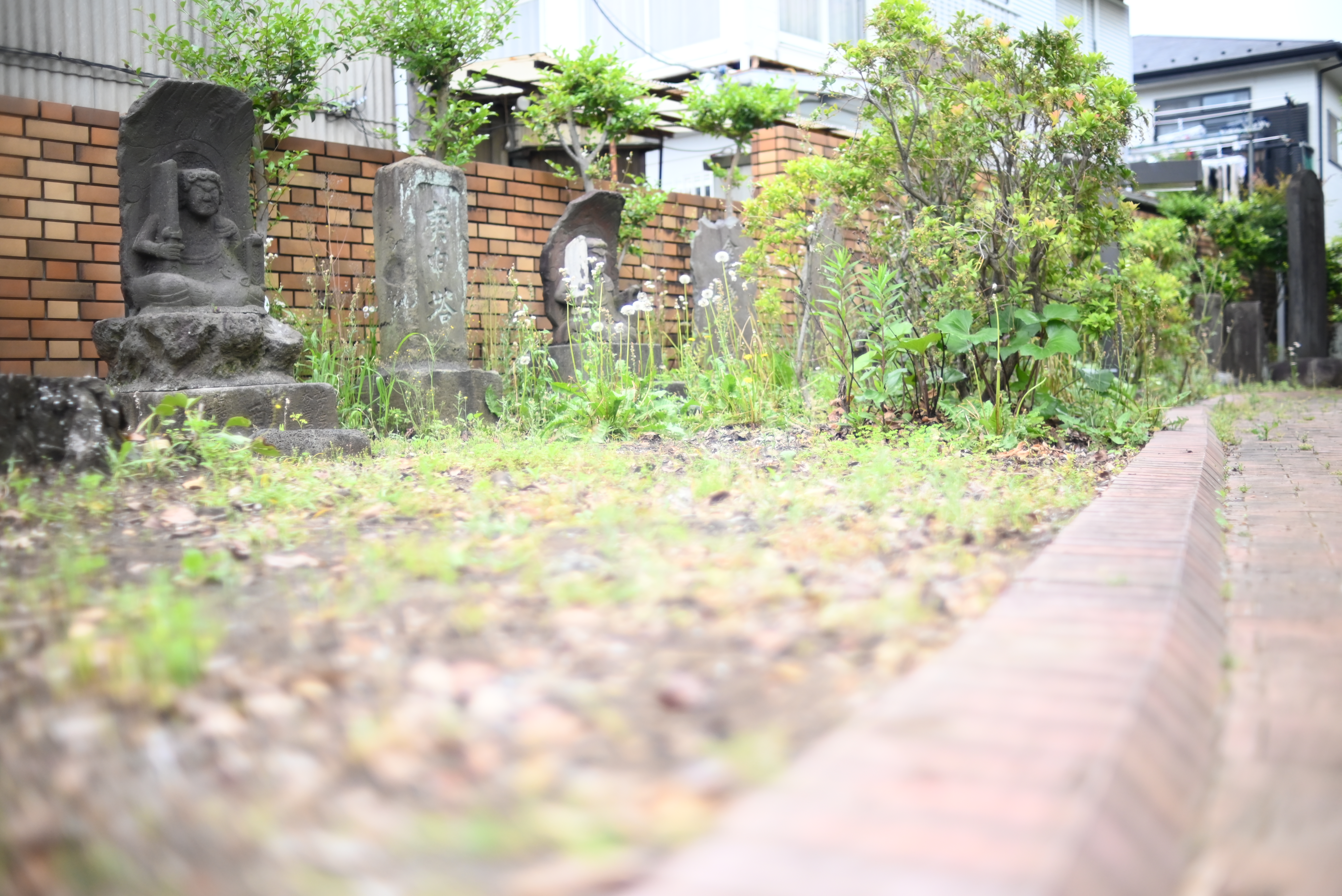 地域情報